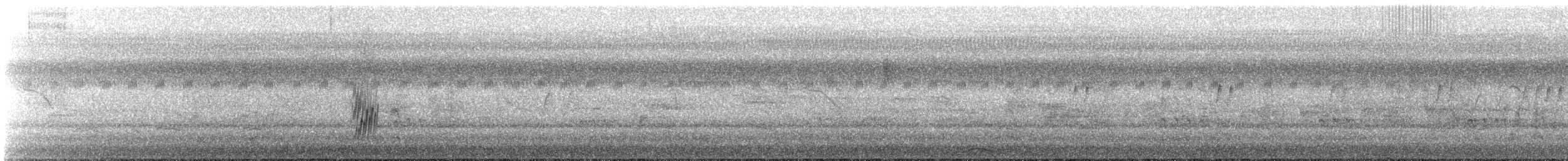 Kuzeyli Sert Kanatlı Kırlangıç - ML314496181