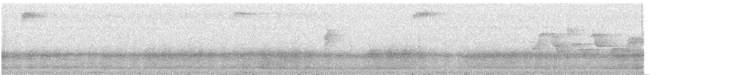 holub černošíjný - ML314522841