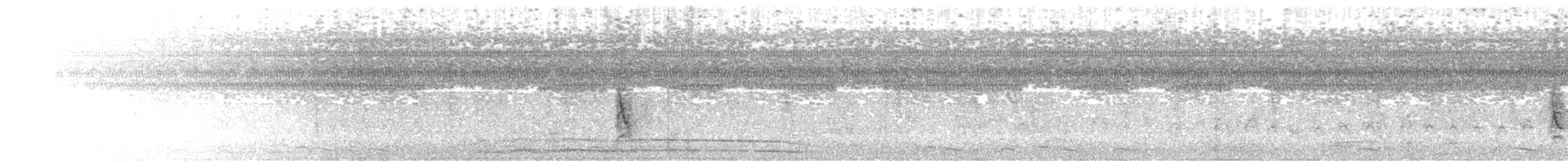 Рисоїд нікарагуанський - ML314685311