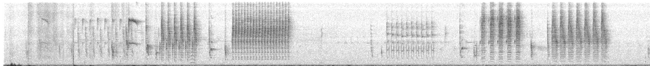 Troglodyte des marais - ML314703861