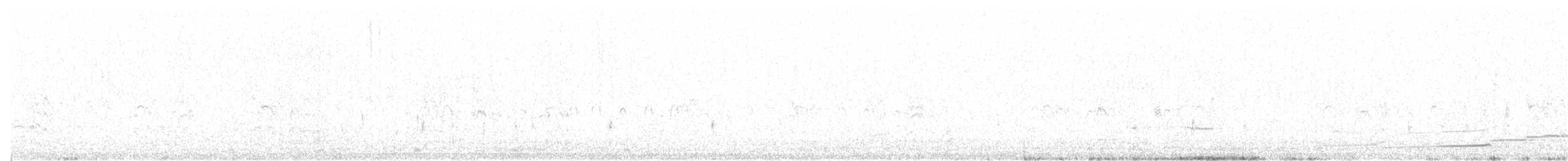 Plongeon huard - ML31481591