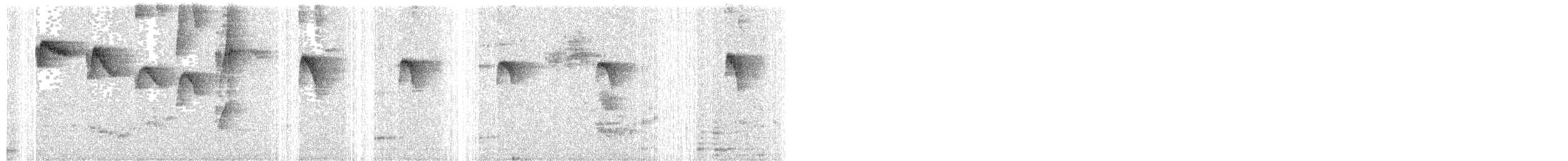 Черногорлый колибри-отшельник - ML314826431