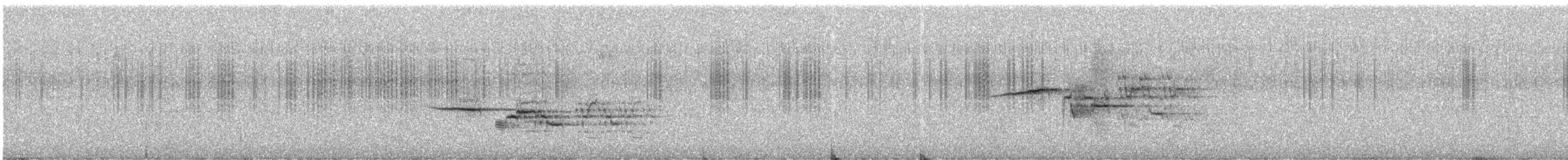 Дрізд-короткодзьоб плямистоволий - ML31488881