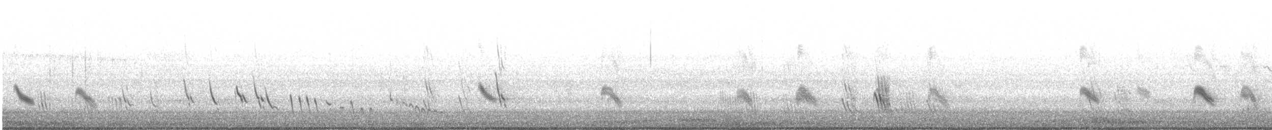 Purple Martin - ML314930231