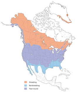 Figure 1. Distribution of the Mallard in North America - Range Map