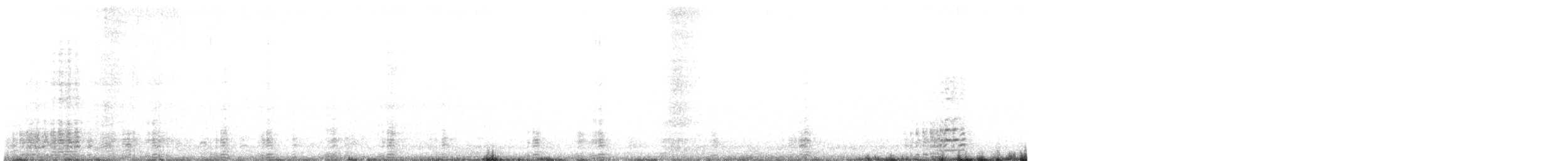berneška tmavá (ssp. hrota) - ML315008021
