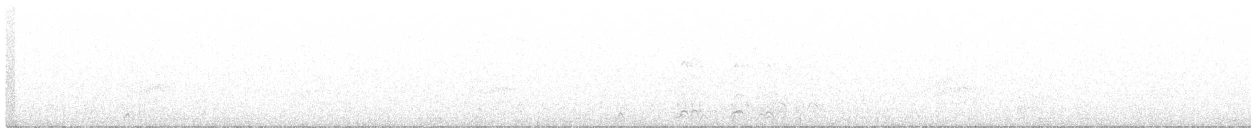 Arlequin plongeur - ML315021211