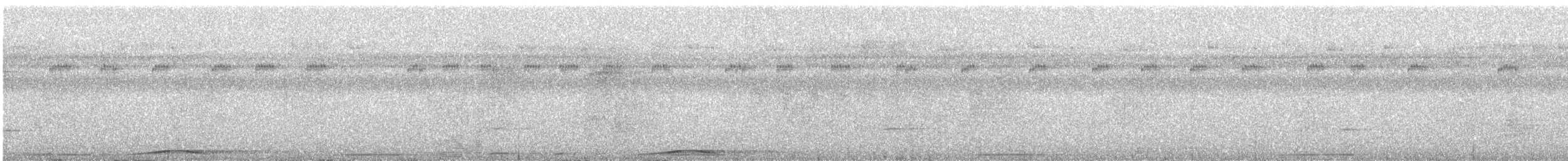 長尾鳩 - ML315057961