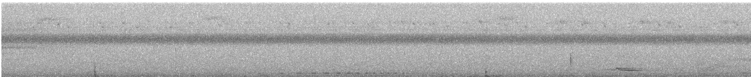 holub šedouchý - ML315058051