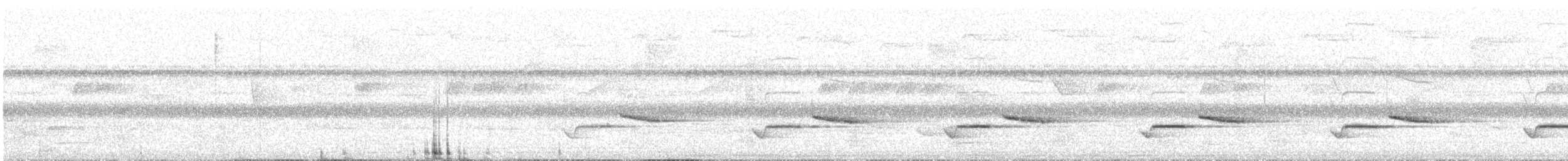 Stripe-throated Wren - ML315189991