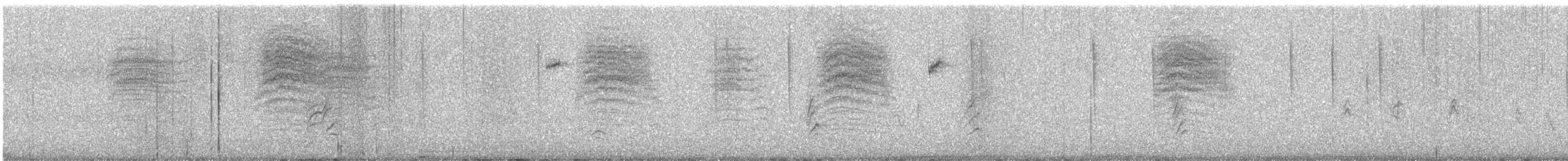 Black-capped Gnatcatcher - ML315295341