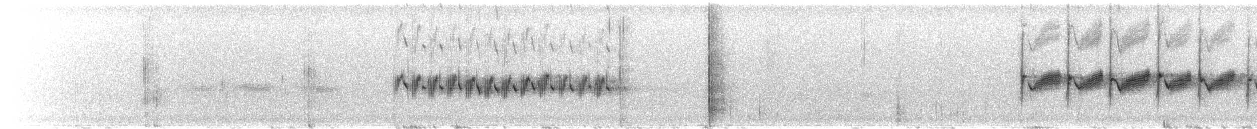 Rock Wren - ML315297521