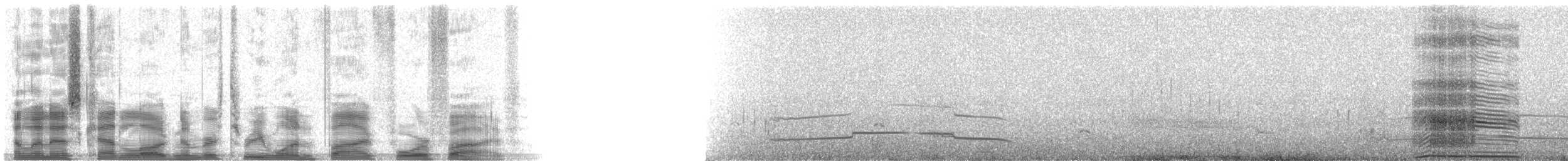 kalous pustovka (ssp. galapagoensis) - ML31545