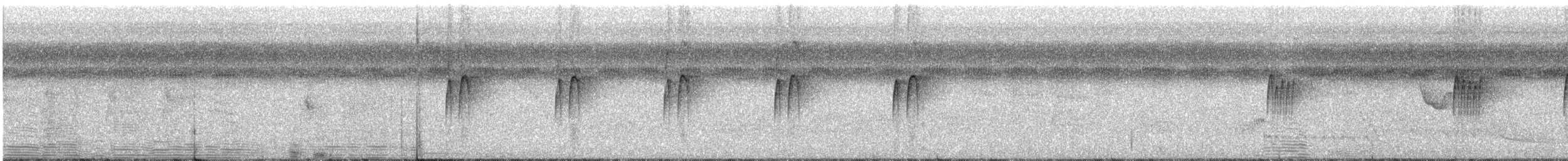Мухолов-клинодзьоб плямистий - ML315453801