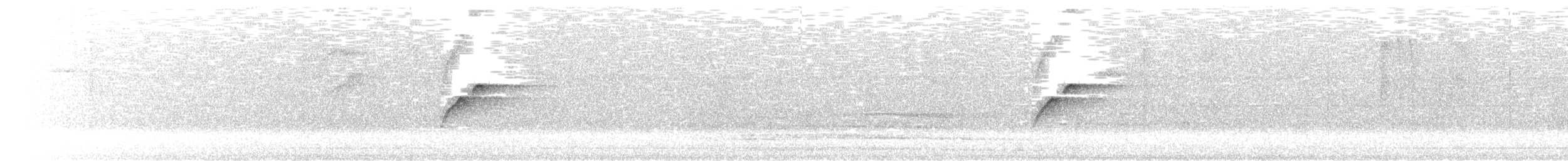 Batı Amerika Sinekkapanı (occidentalis/hellmayri) - ML315544171