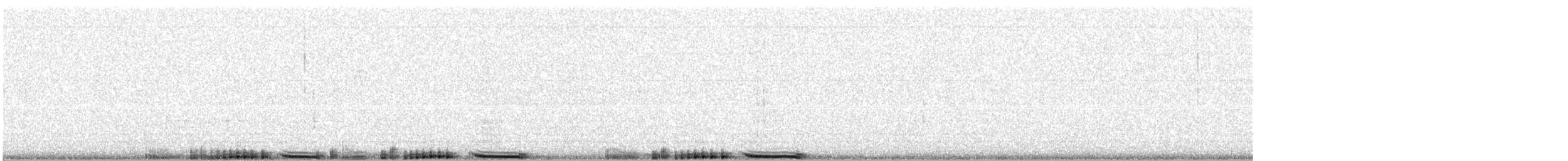 holub skalní (domácí) - ML315571941