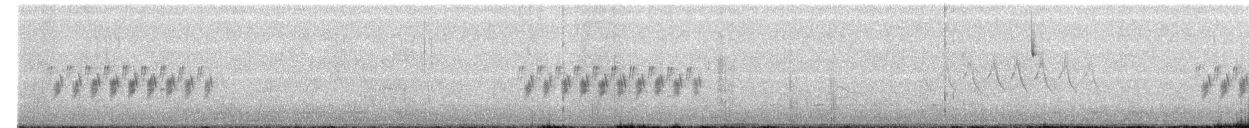 tanımsız Passeriformes sp. - ML315577581