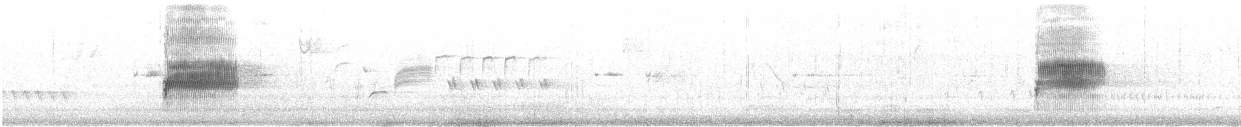 Spotted Towhee (oregonus Group) - ML315583791