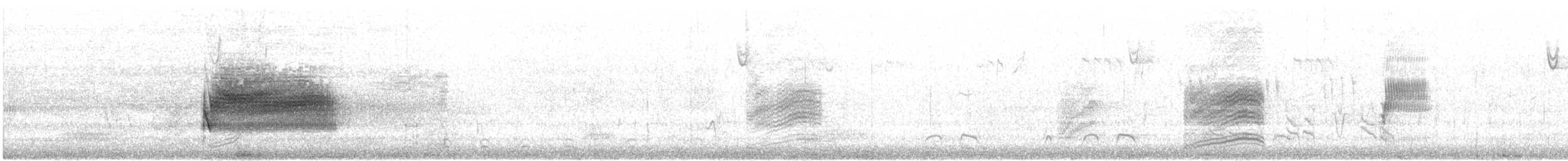 Spotted Towhee (oregonus Group) - ML315584021