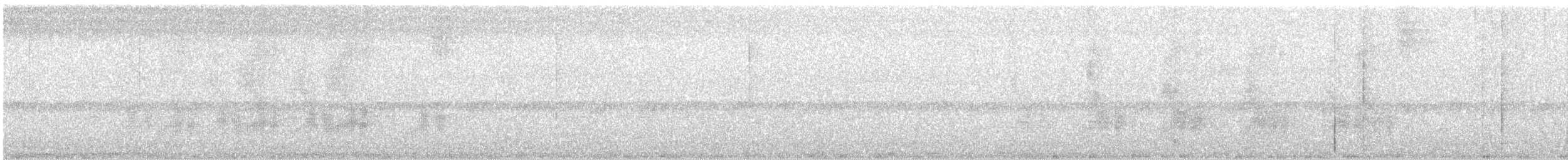 Black-tailed Tityra - ML315588621