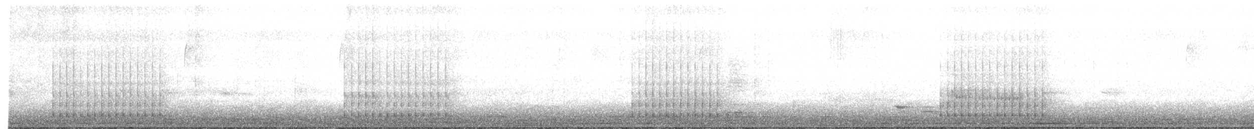 セジロコゲラ - ML315629281