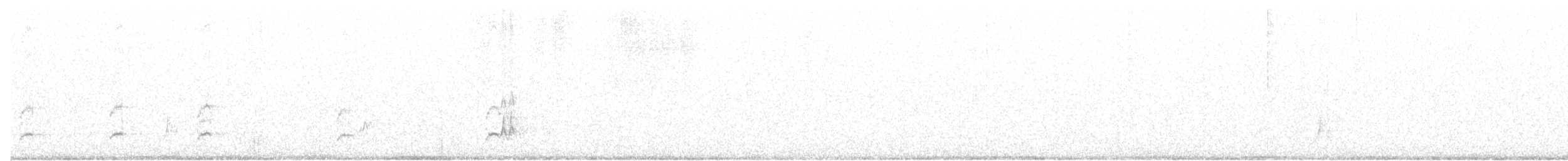 Бледногорлый миарх - ML31568291