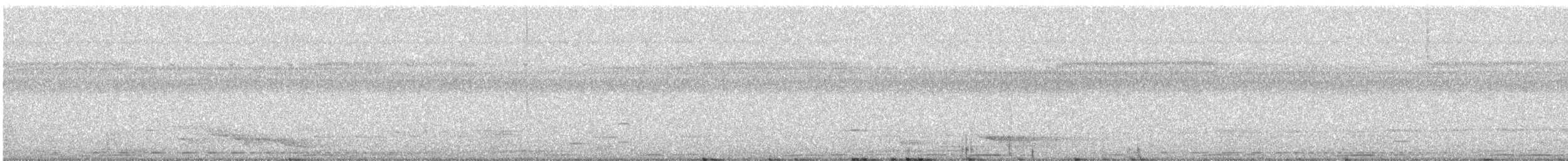 holub šedouchý - ML315693951