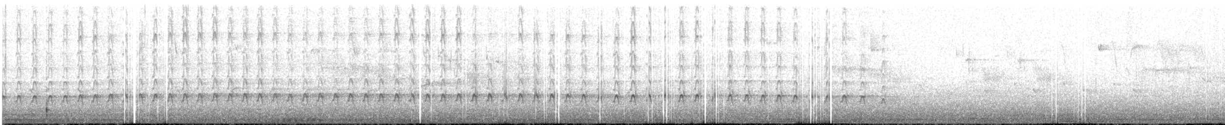 Northern Flicker - ML315714761