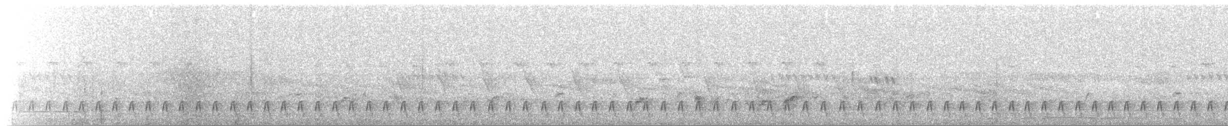 Engoulevent de Reichenow - ML315720851