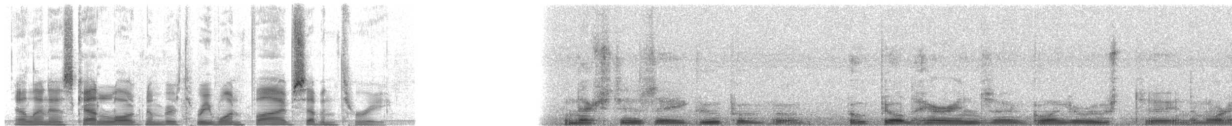 Yassı Gagalı Balıkçıl (cochlearius/panamensis) - ML31573