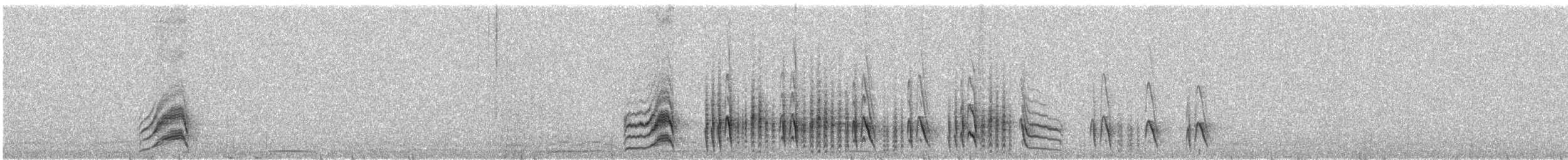 Grauscheitel-Olivtyrann - ML31577271