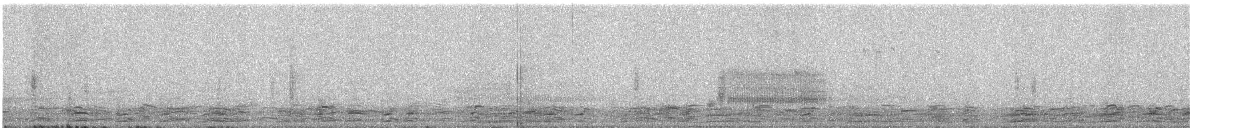 Oca canadese maggiore - ML315808431