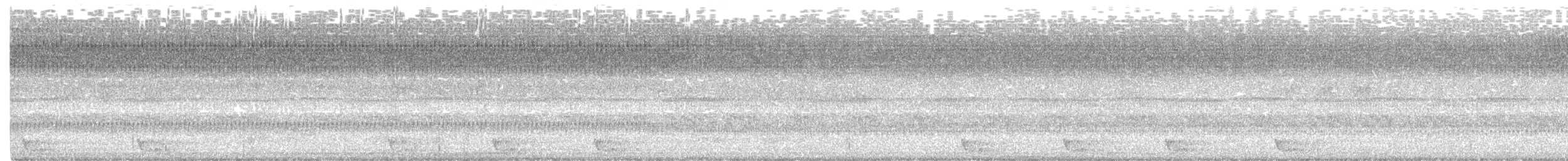 Large-tailed Nightjar - ML315825691