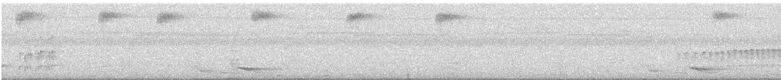 Сулуанский острокрылый дятел - ML315879591