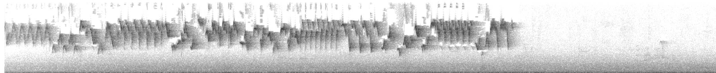 Troglodyte de Baird - ML316065571