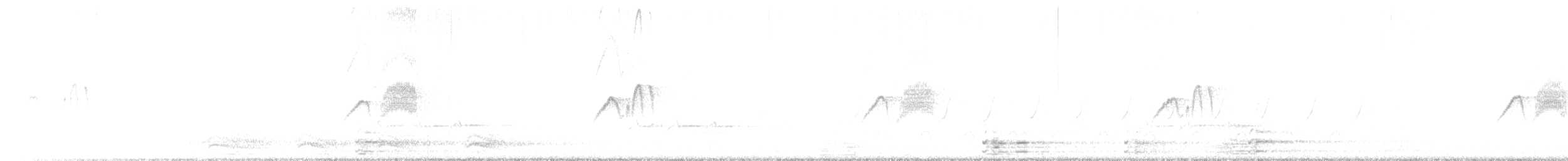 Weißbauch-Phoebetyrann - ML316186651