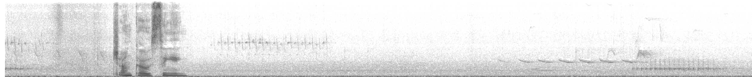 Kara Gözlü Junko (hyemalis/carolinensis) - ML316200661