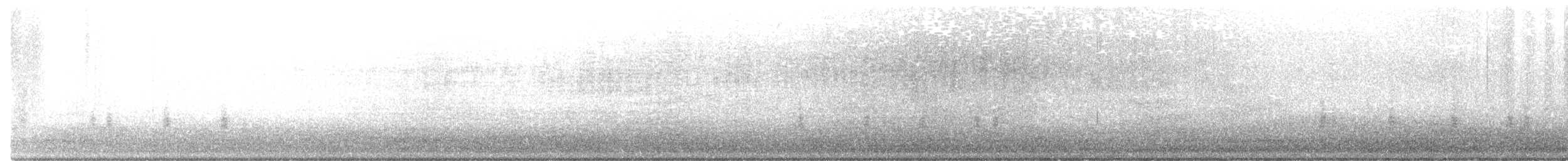 chřástal virginský - ML316396761