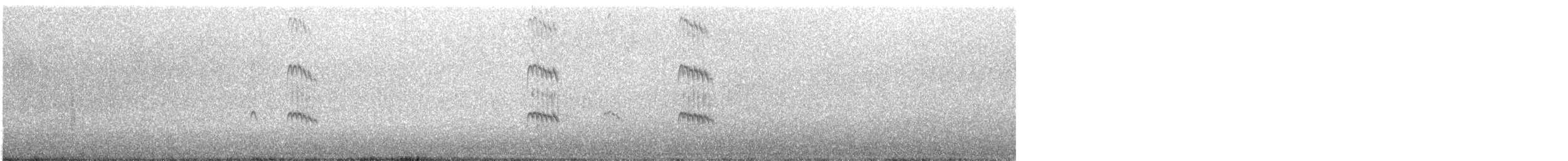 Антарктическая крачка (georgiae) - ML31641961