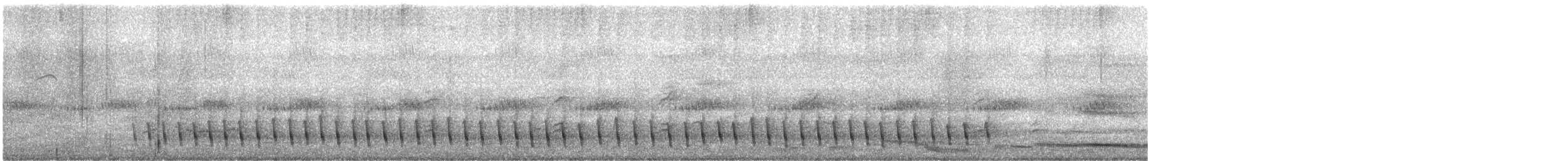 Méliphage de Lewin - ML316463731