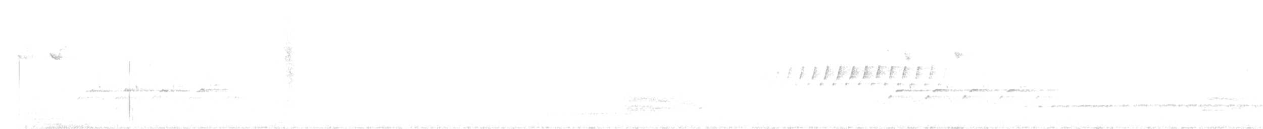 Carolinazaunkönig - ML316572841