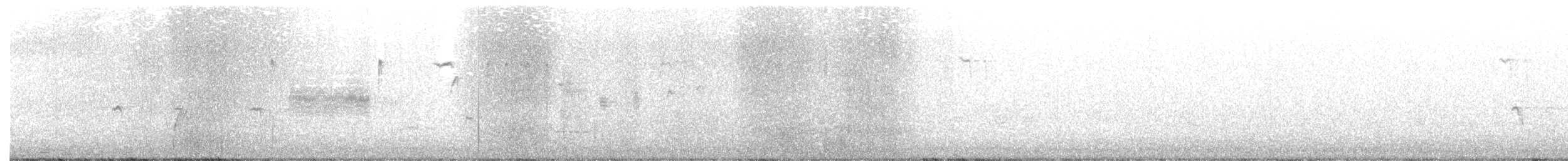Светлобрюхий фиби - ML316628471