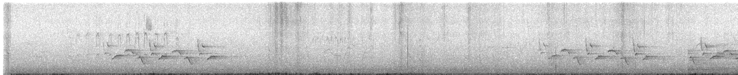Carolina Wren - ML316657991