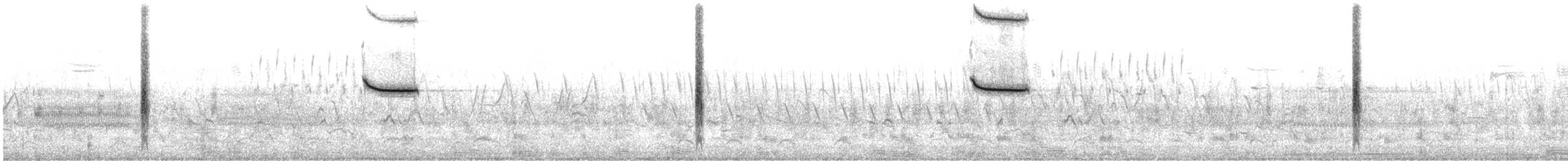 vlhovec červenokřídlý [skupina phoeniceus] - ML316672341