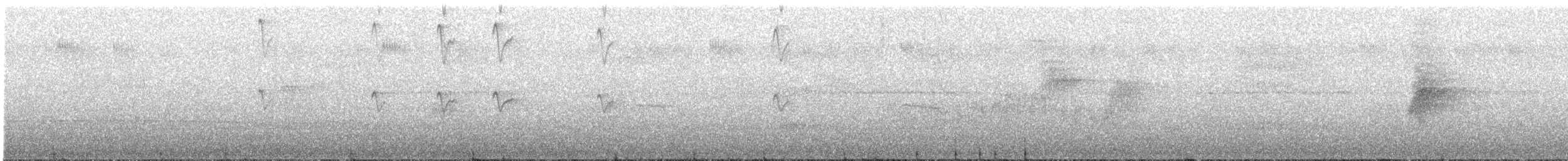 Котингіта жовтогорла (підвид pipra) - ML316717791