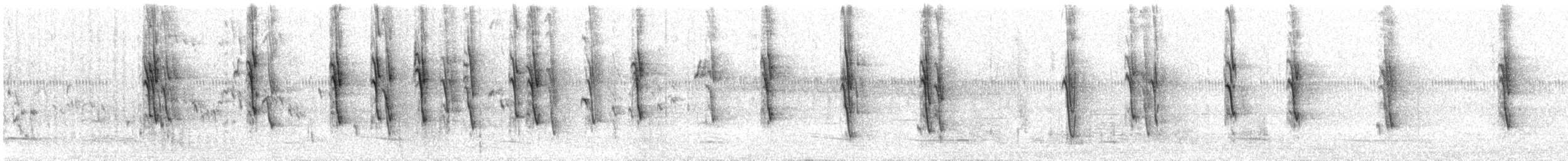 Méliphage serti - ML31672921