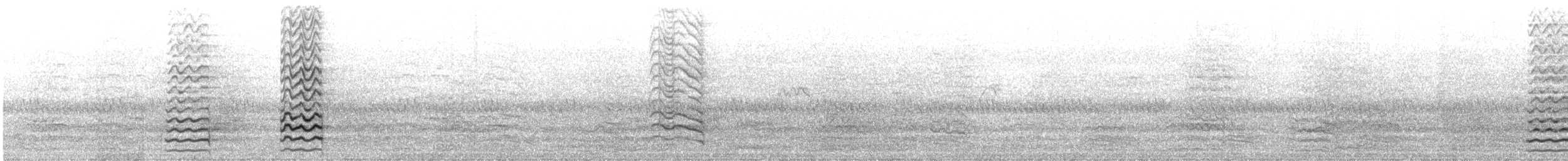 kakadu naholící - ML31675961