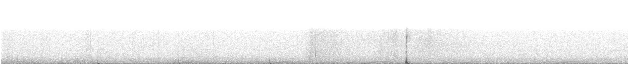 Полосатохвостый голубь - ML316802491