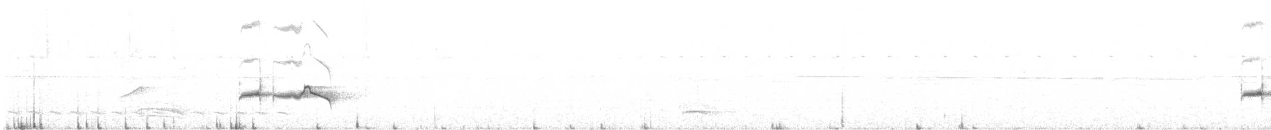 Strichelrücken-Ameisenfänger - ML316896781