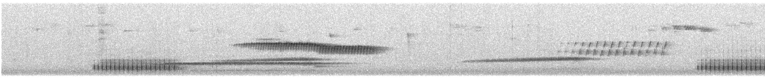 Pine Warbler - ML316911861